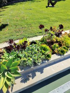 Outdoor audio system installation in a Bend backyard"